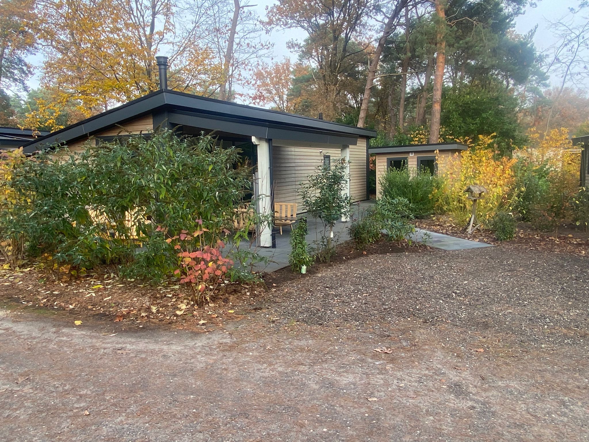 Boschalet voor 6 personen, Kleine Belties Hardenberg